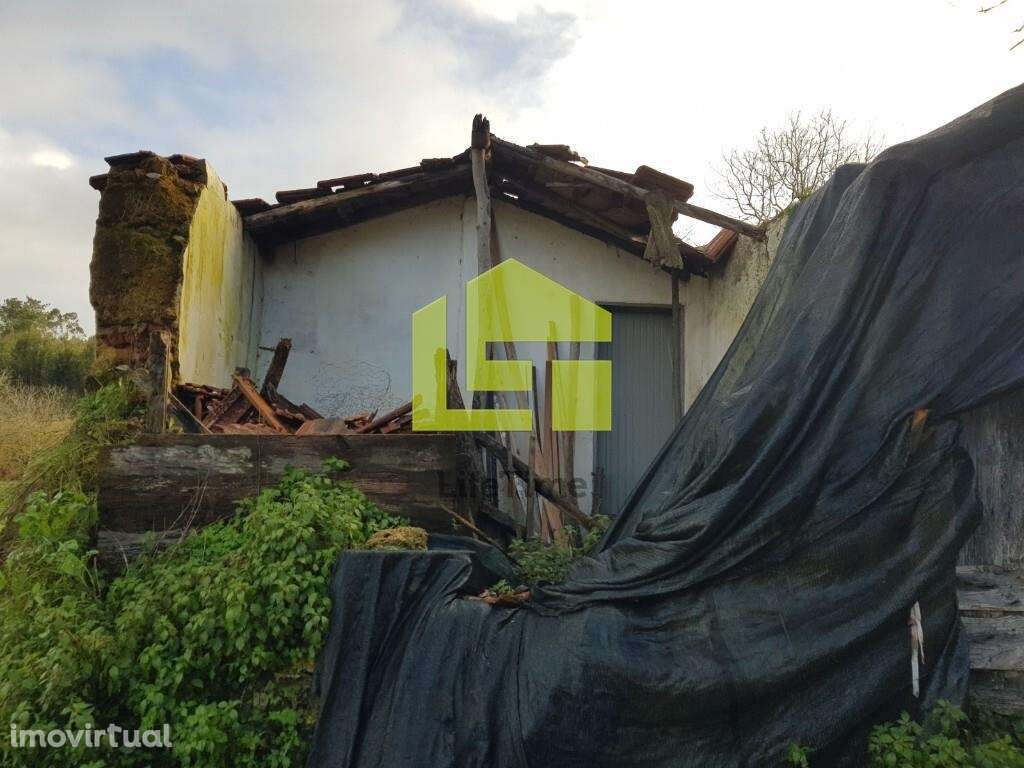 Quinta com projeto aprovado. - Grande imagem: 4/44