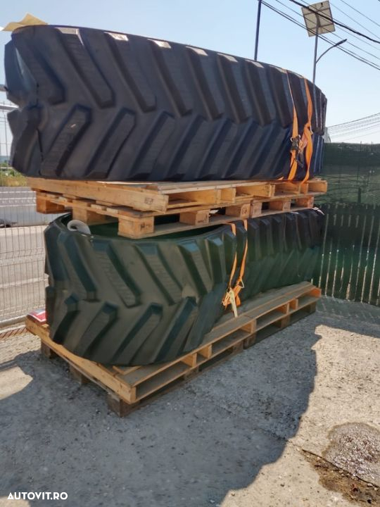 Challenger Senile 24” & 30” - 12