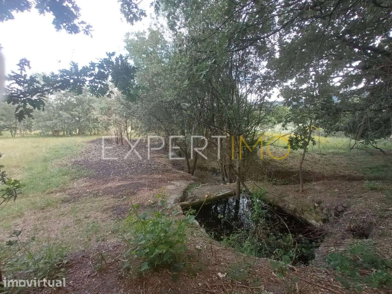 QUINTA SERRA DA ESTRELA, 1 hectare de terreno com casa para... - Grande imagem: 4/25