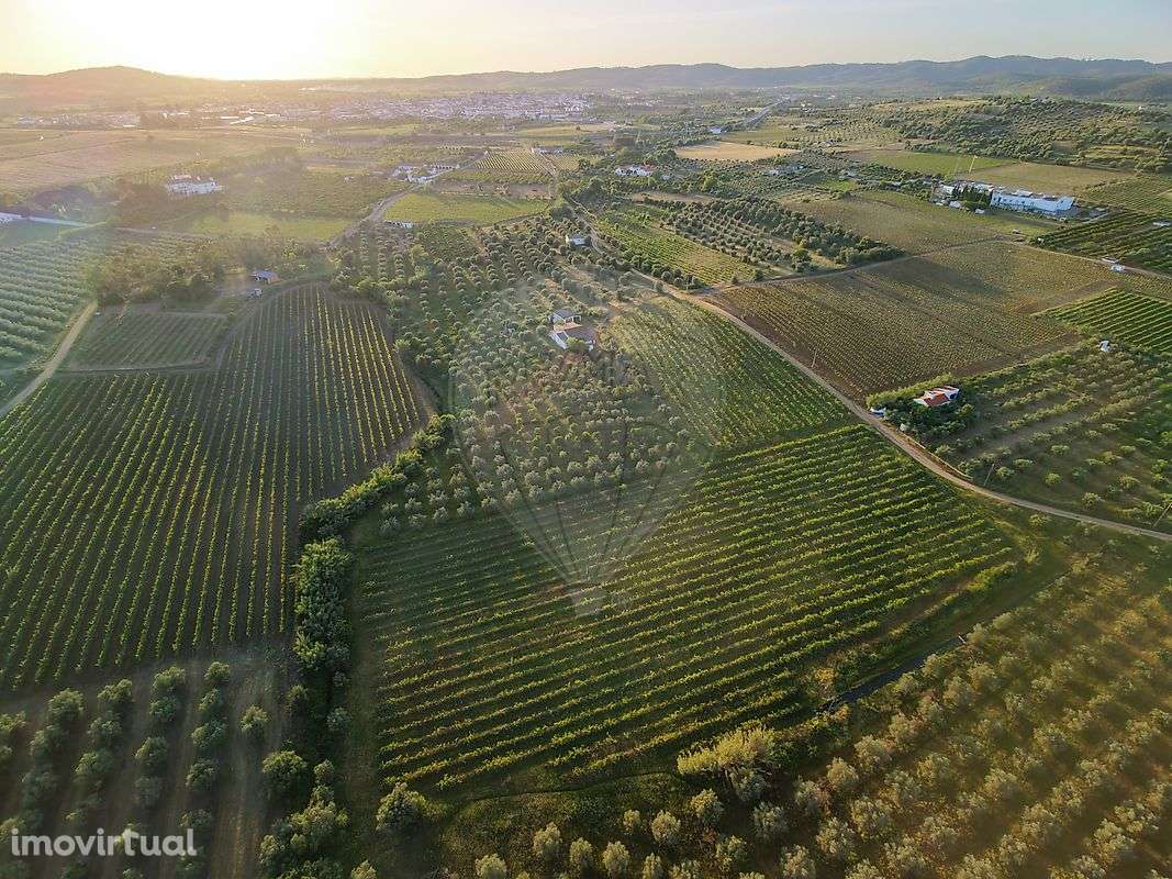 Quinta  para venda - Grande imagem: 2/50