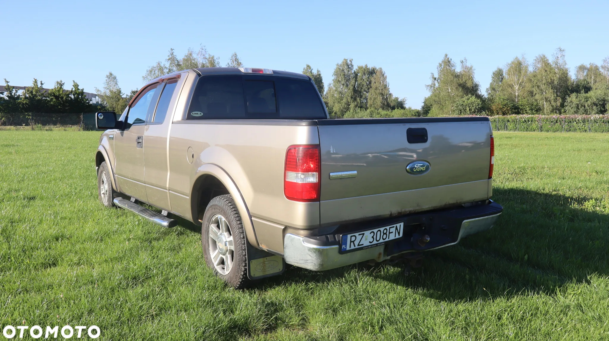 Ford F150 - 5