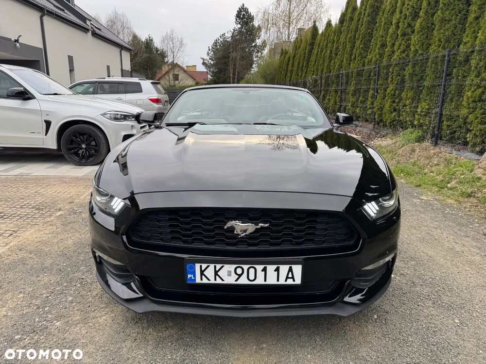 Ford Mustang 3.7 V6 - 13