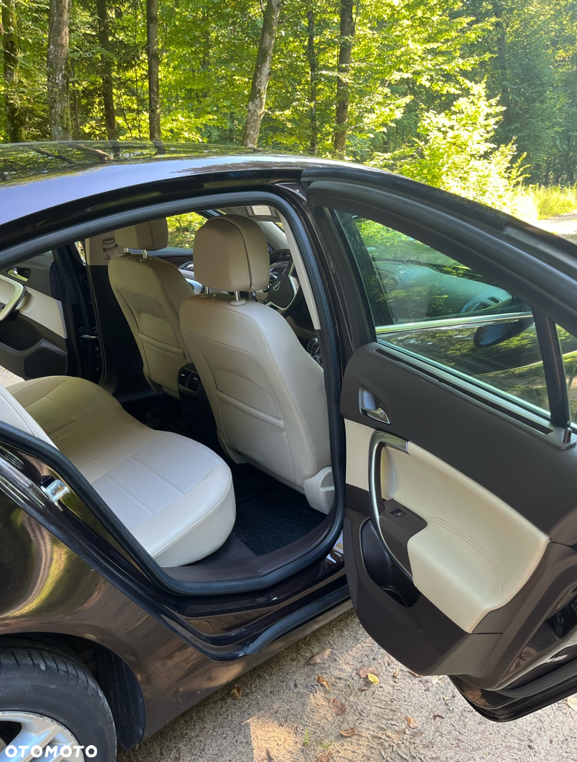 Opel Insignia 2.0 CDTI Cosmo - 20