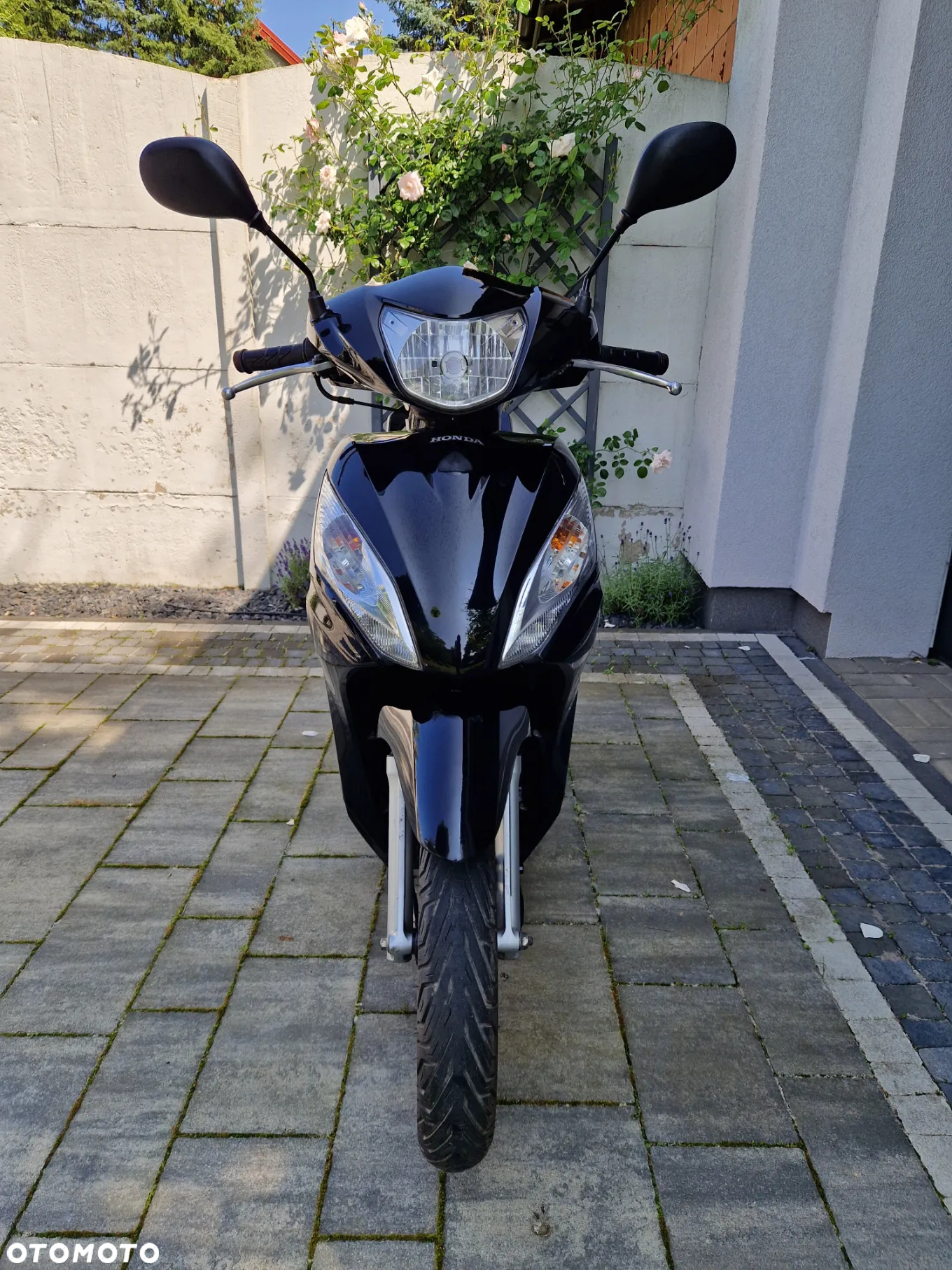 Honda Vision - 5
