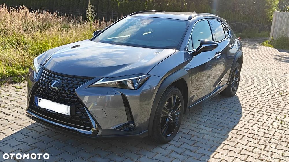 Lexus UX 250h Elegance 2WD - 2