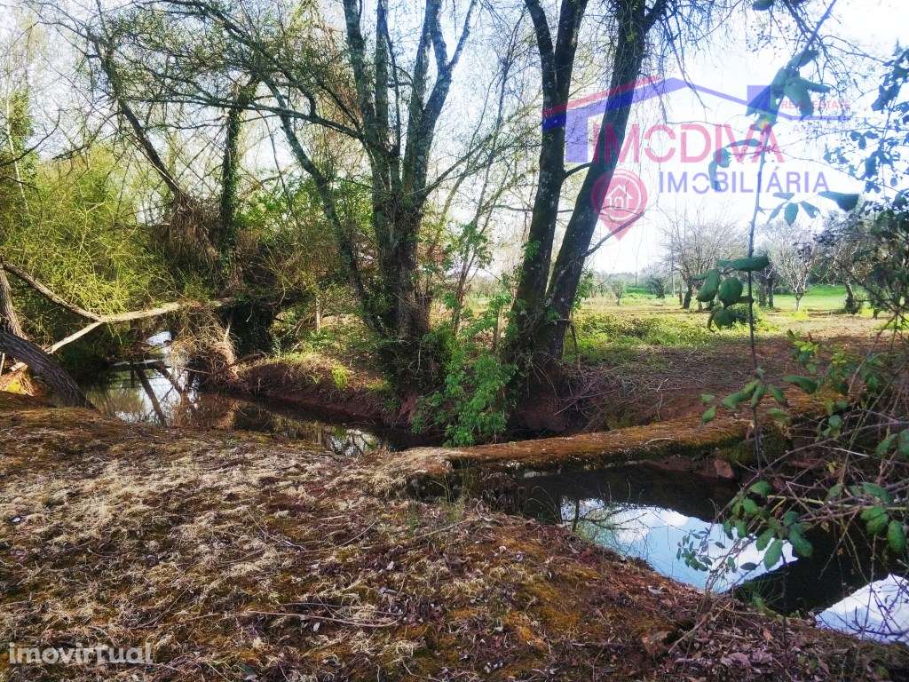 Quinta rural com ribeira - Grande imagem: 4/23