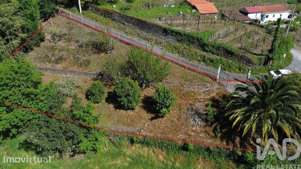 Casa de Campo T3 em Moura Morta e Vinhós de 100 m2 - Grande imagem: 4/35