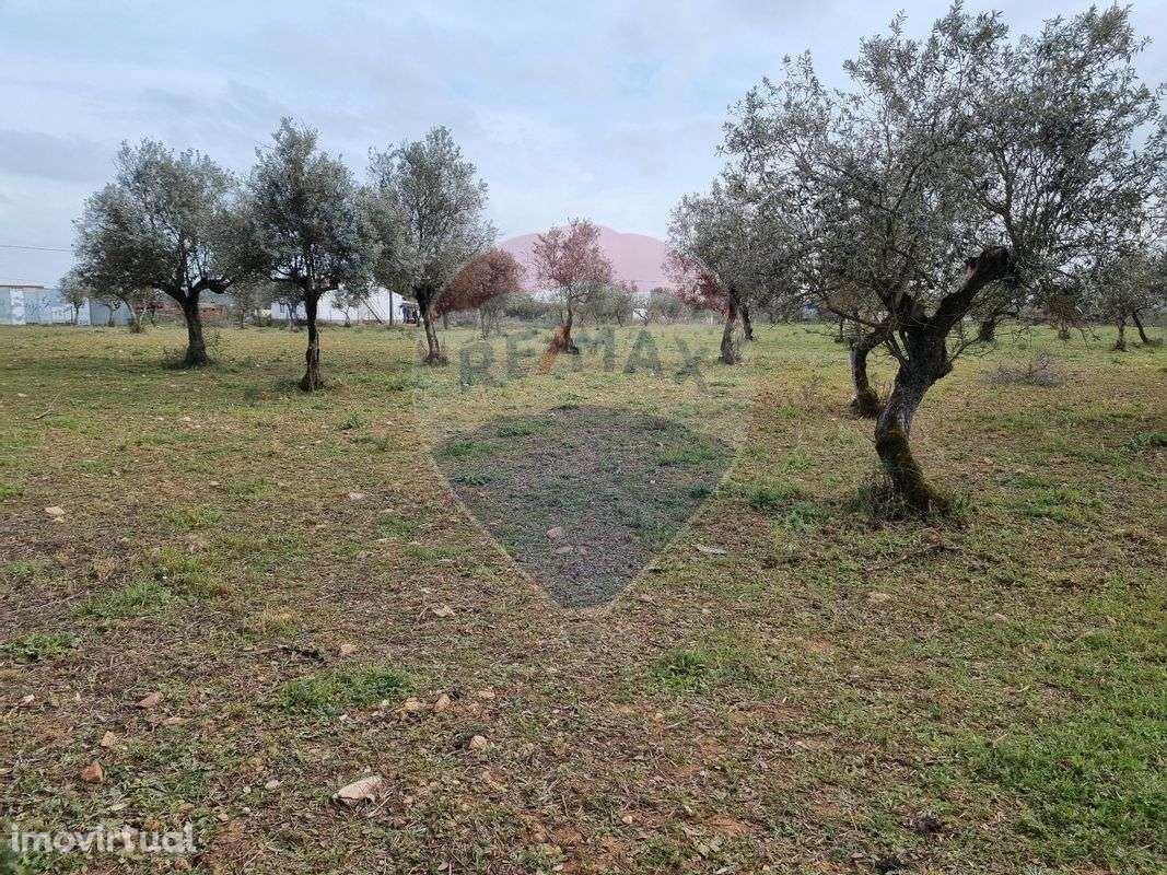 Terreno  para venda - Grande imagem: 2/3