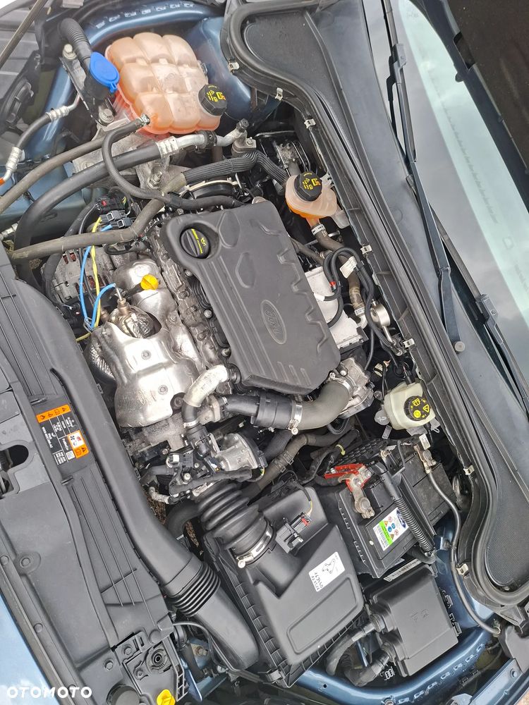 Ford Focus 1.5 TDCi DPF Start-Stopp-System Business - 17