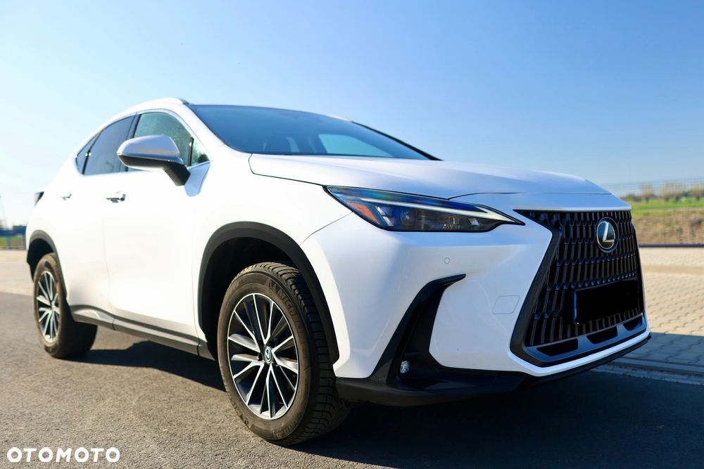 Lexus NX - 13