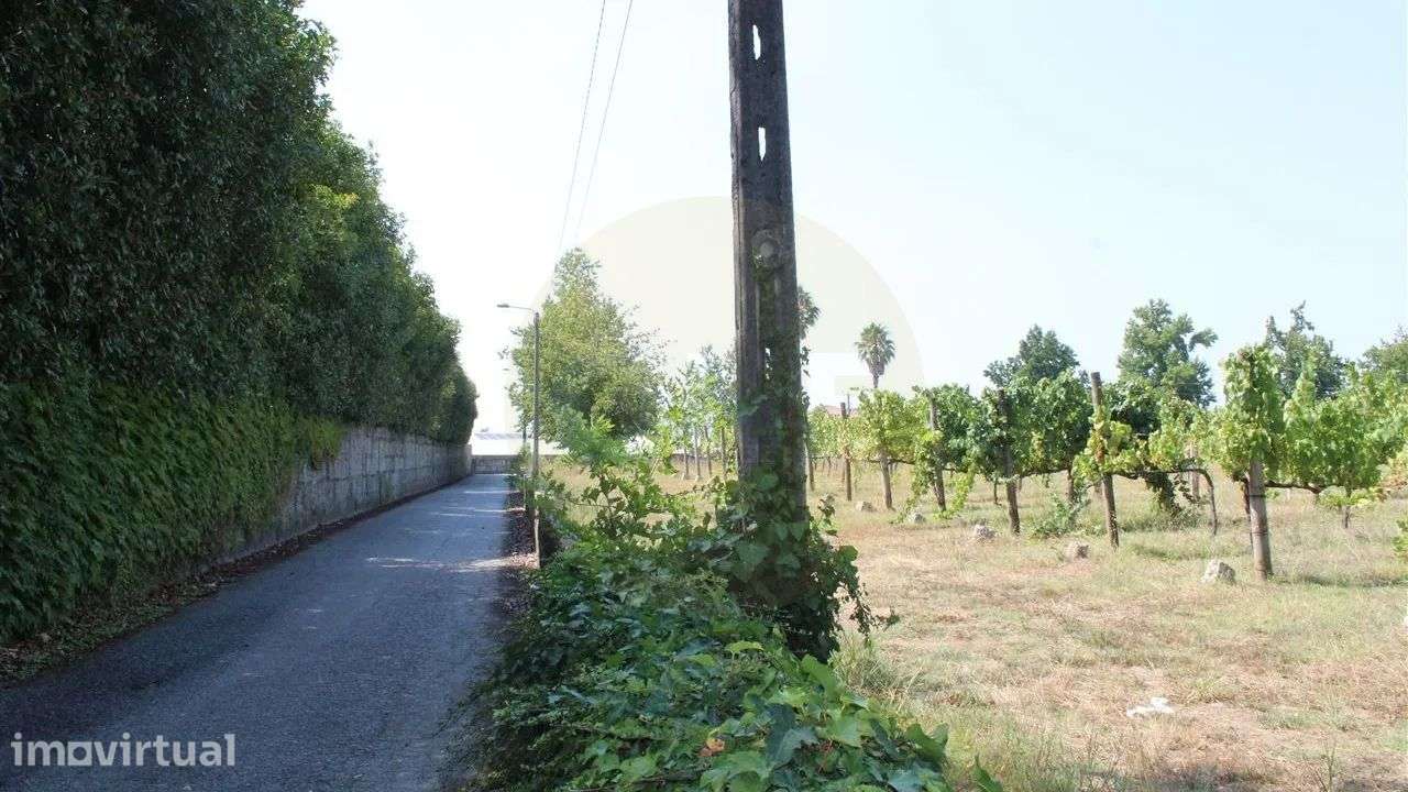 Terreno de construção no Louro-V.N.F. - Grande imagem: 5/9