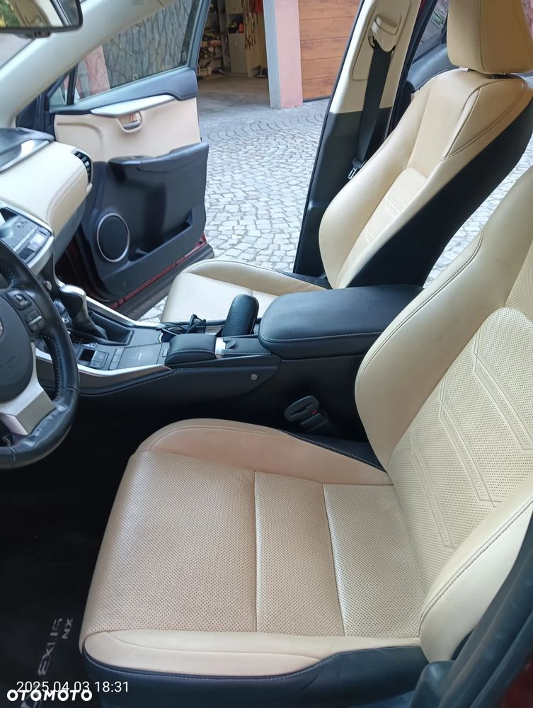 Lexus NX ver-300h-business-edition-awd - 28