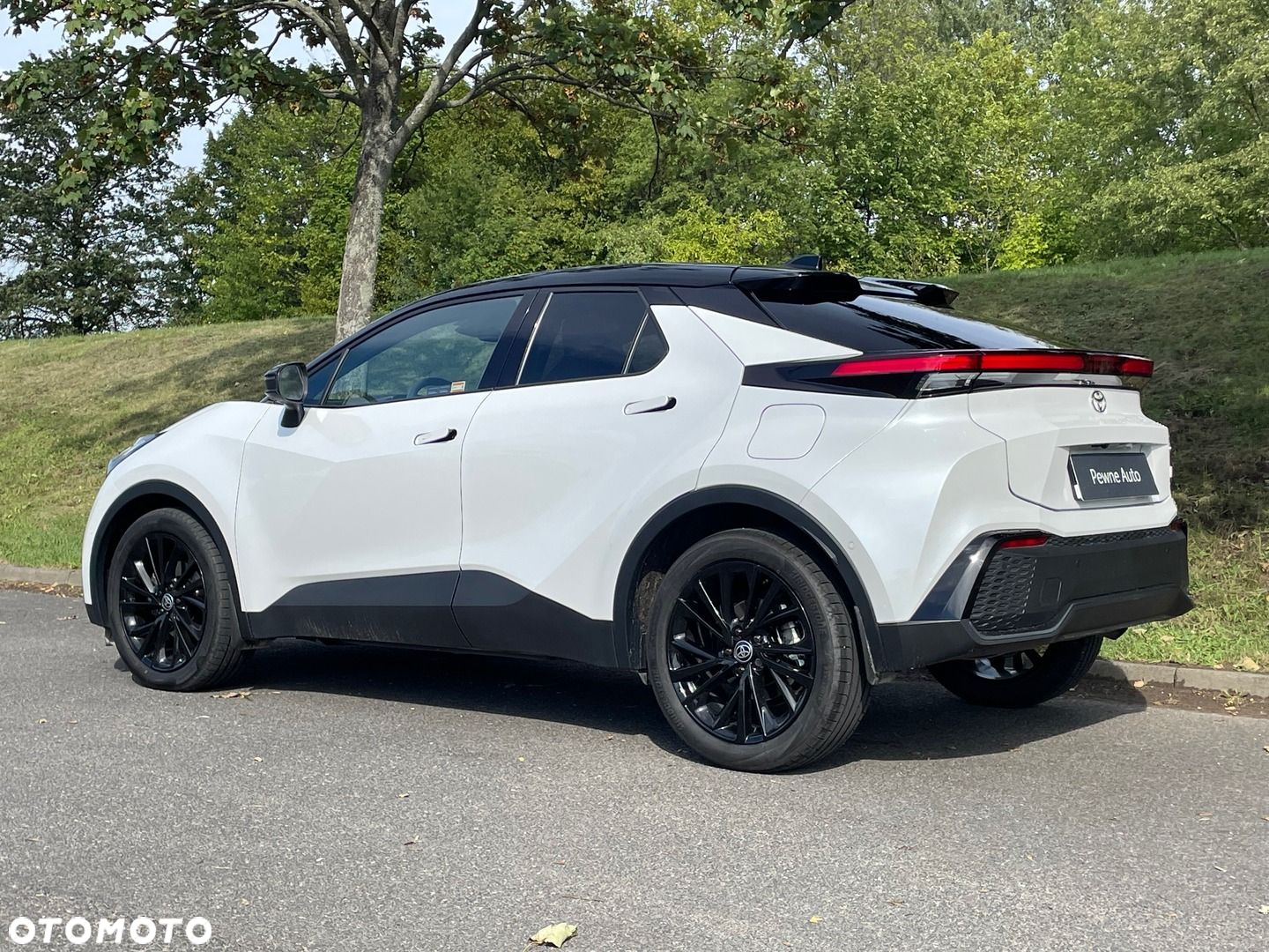 Toyota C-HR - 15