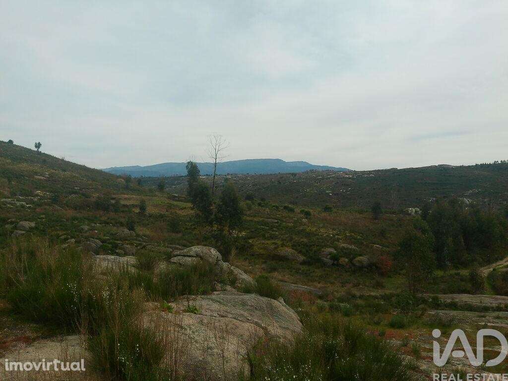 Terreno em Seixo da Beira de 16000,00 m2 - Grande imagem: 3/26