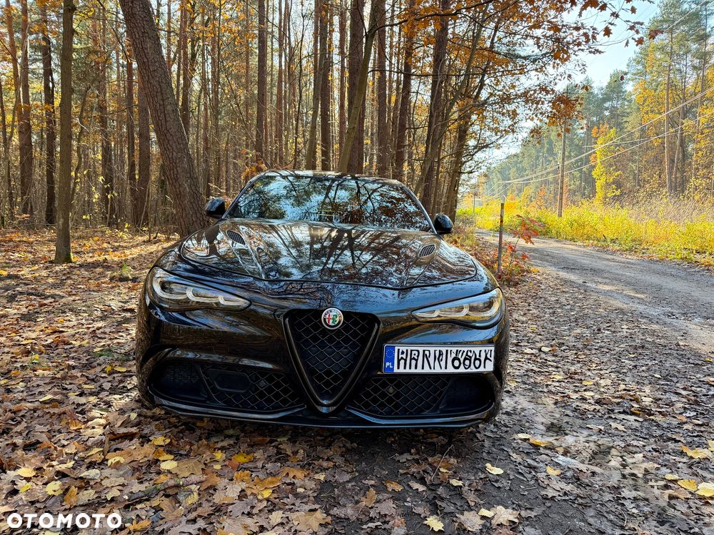 Alfa Romeo Giulia 2.9 V6 Bi-Turbo AT8 Quadrifoglio - 15