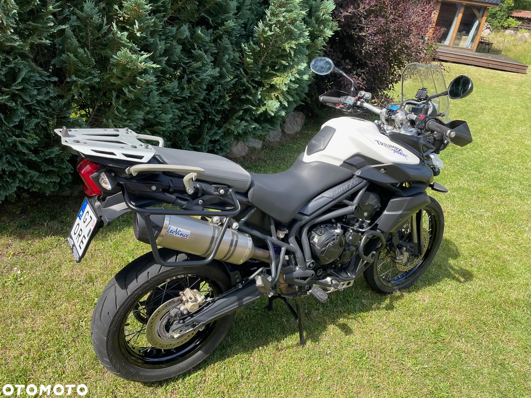 Triumph Tiger - 5