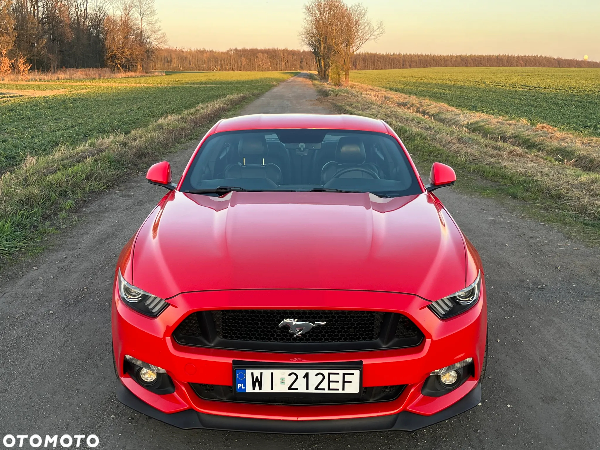 Ford Mustang 5.0 V8 GT - 13