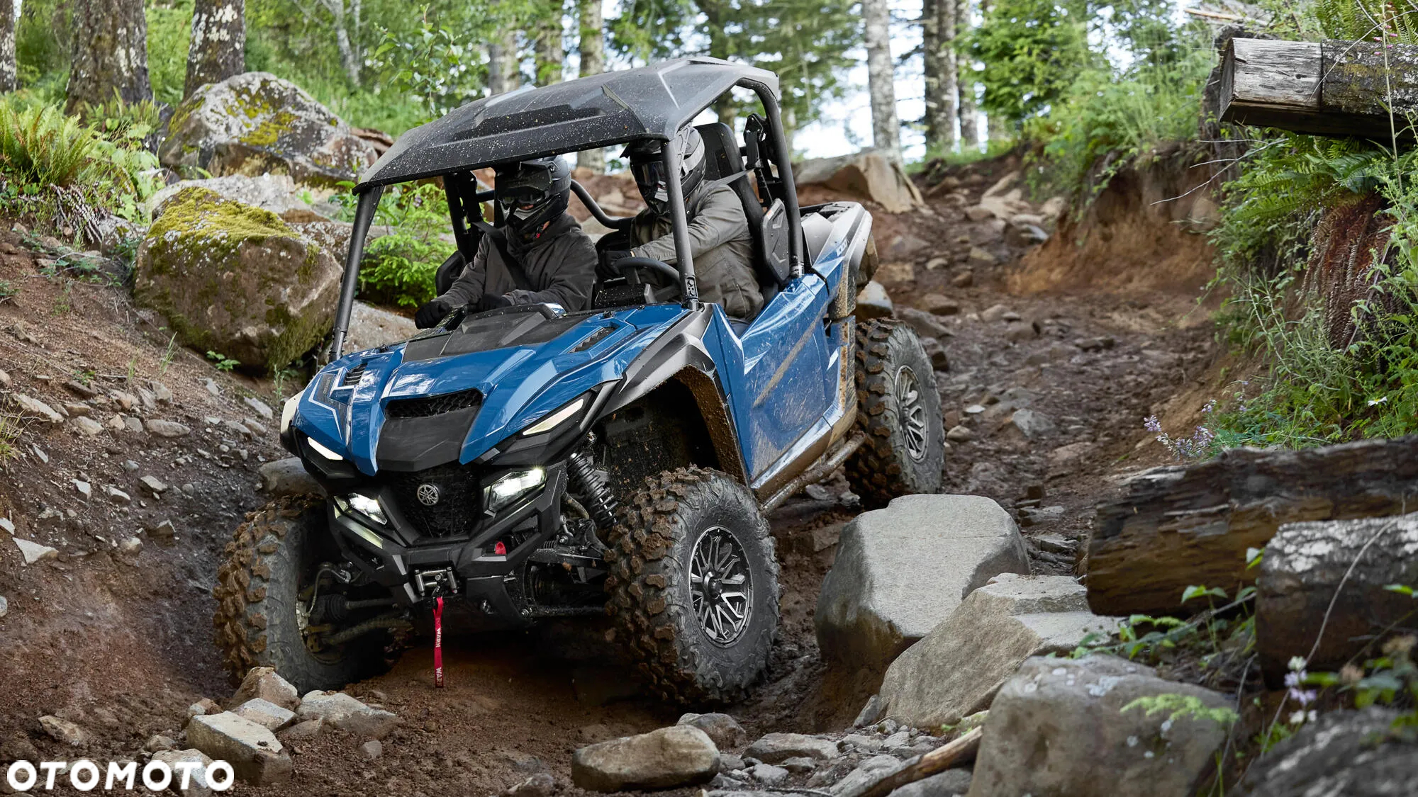 Yamaha Wolverine - 6