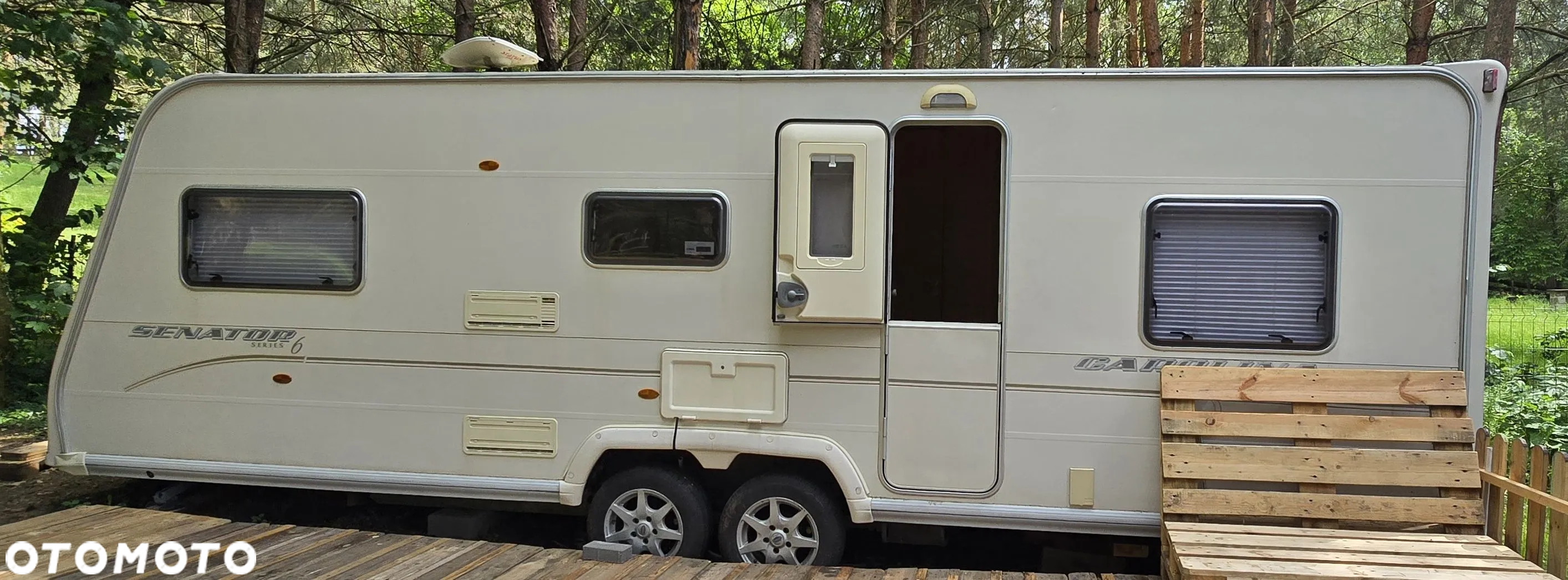 Bailey Seantor Series 6 - 37