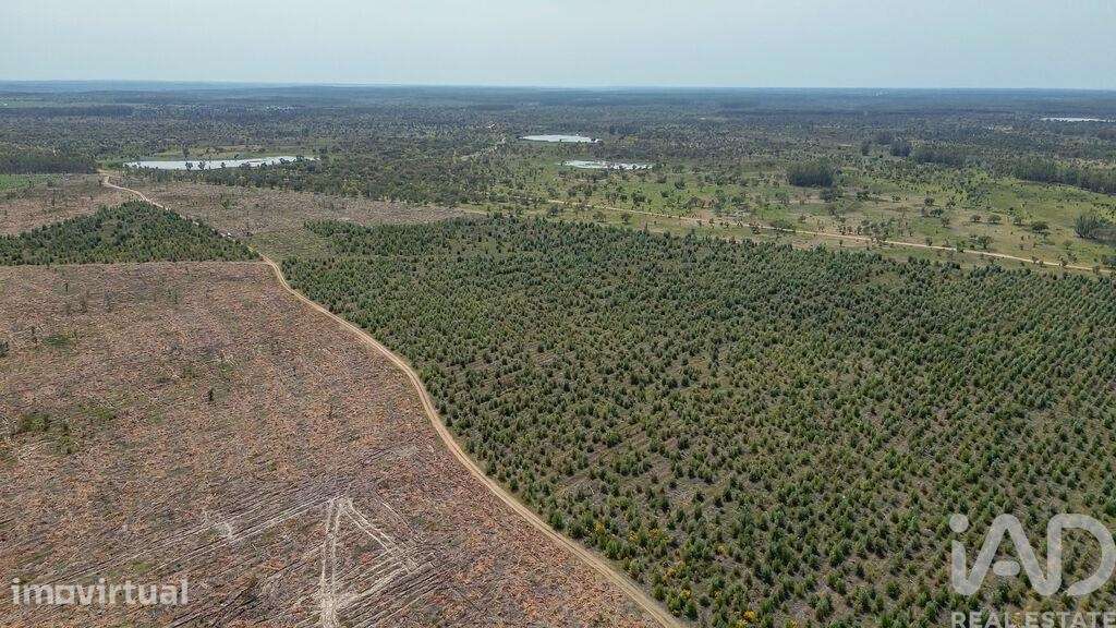 Terreno Agrícola em Bemposta - Grande imagem: 4/31