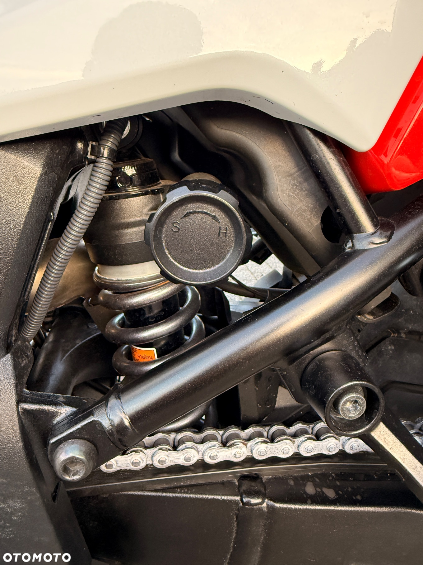 Suzuki DL - 26