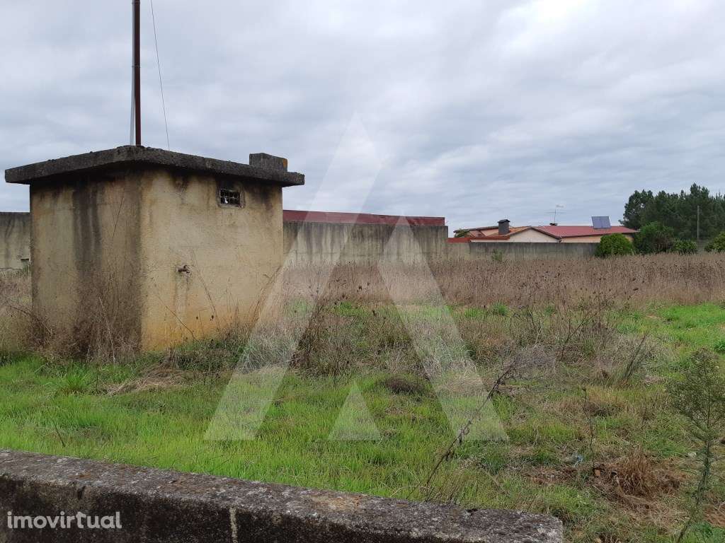 Terreno situado a poucos minutos de Anadia - Grande imagem: 3/4