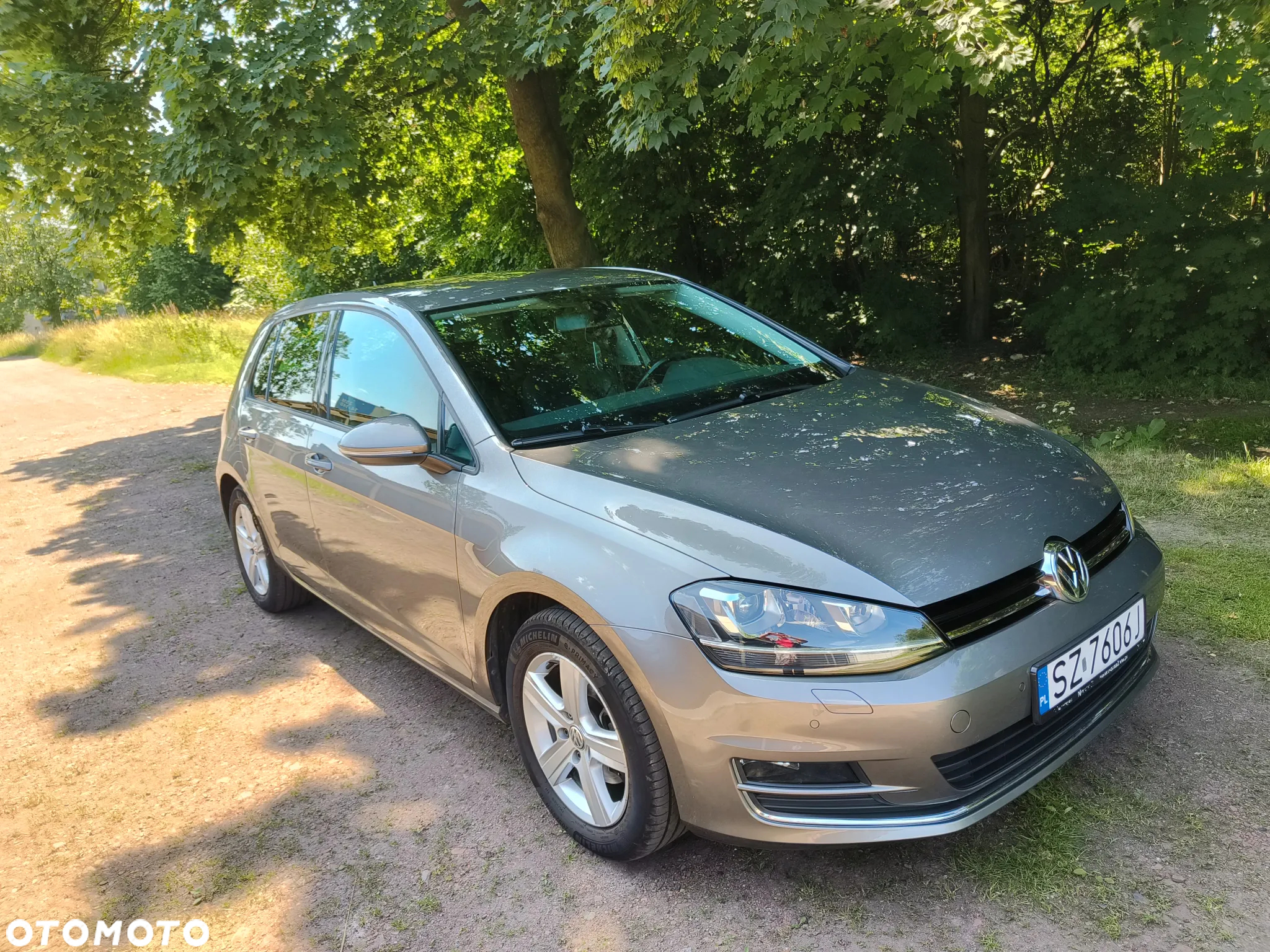 Volkswagen Golf - 22