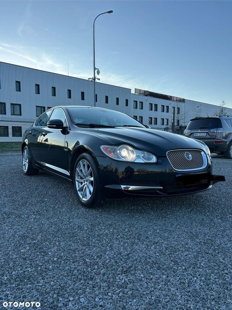 Jaguar Inny - 1