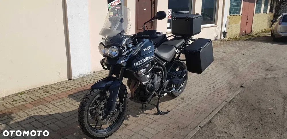 Triumph Tiger