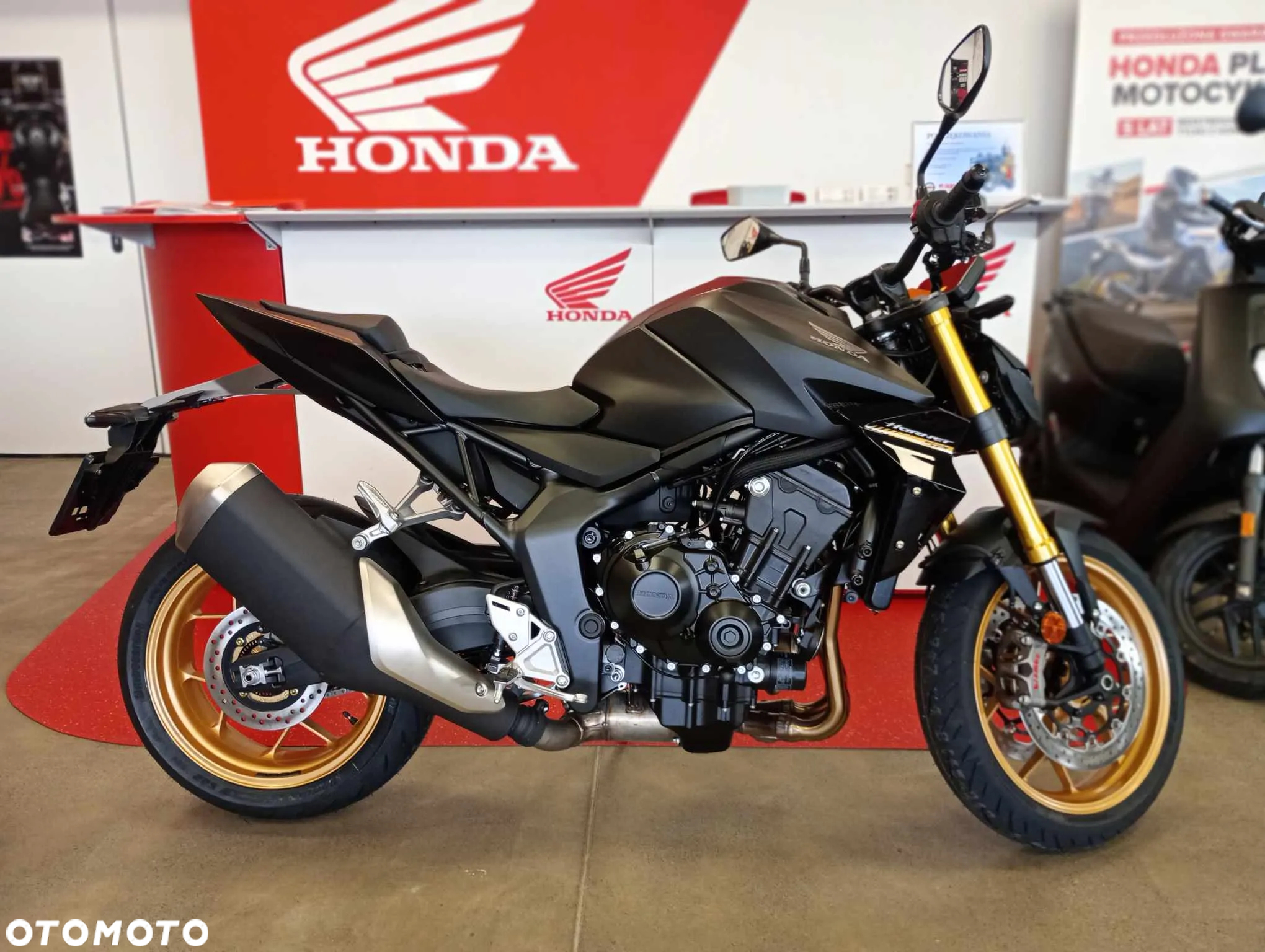Honda Hornet - 10