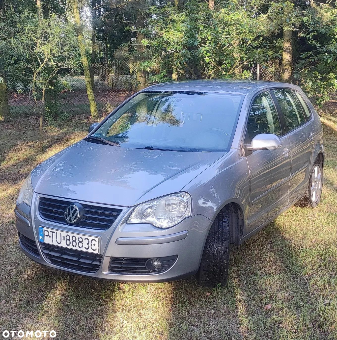 Volkswagen Polo - 1
