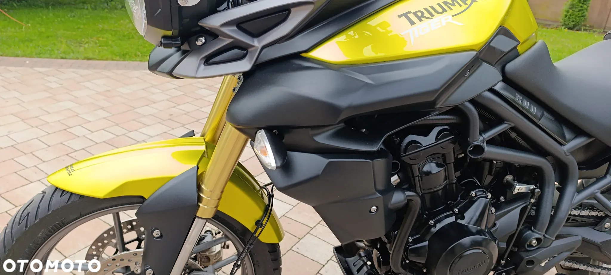 Triumph Tiger - 39