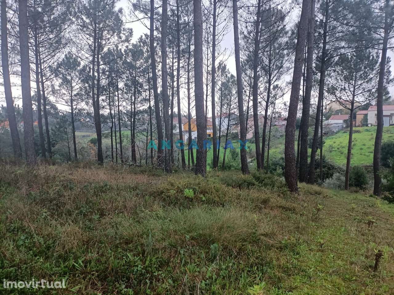 ANG1577 - Terreno para Venda em Santa Catarina da Serra - Grande imagem: 5/10