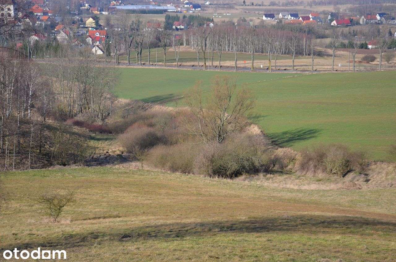 Sprzedam działkę siedliskowo-inwestycyjną - Pełny obrazek: 5/6