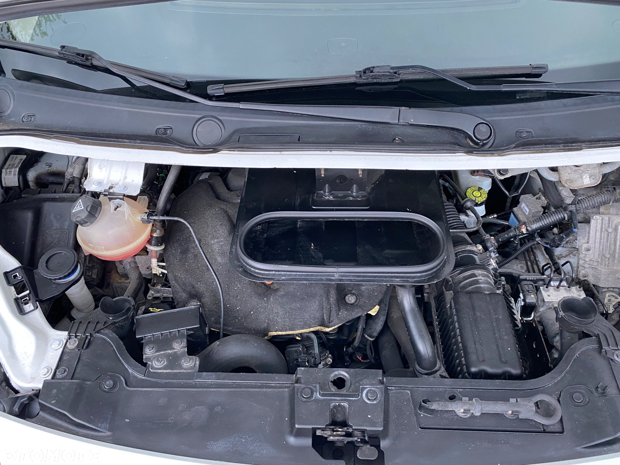 Peugeot Expert - 36