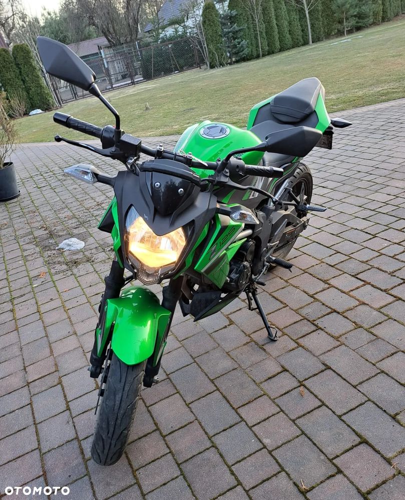 Kawasaki Z - 6