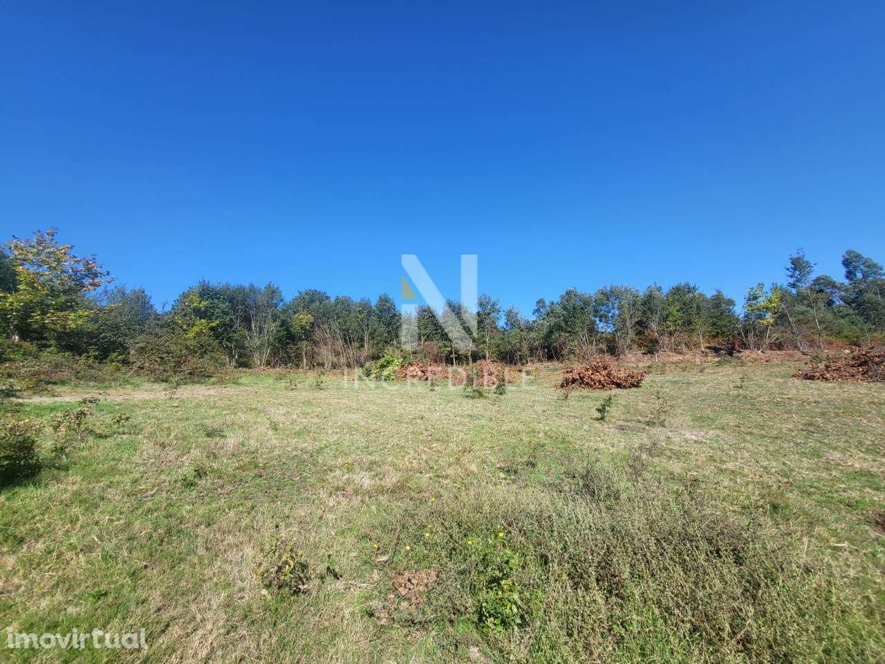 Terreno  Venda em Bucos,Cabeceiras de Basto - Grande imagem: 5/12