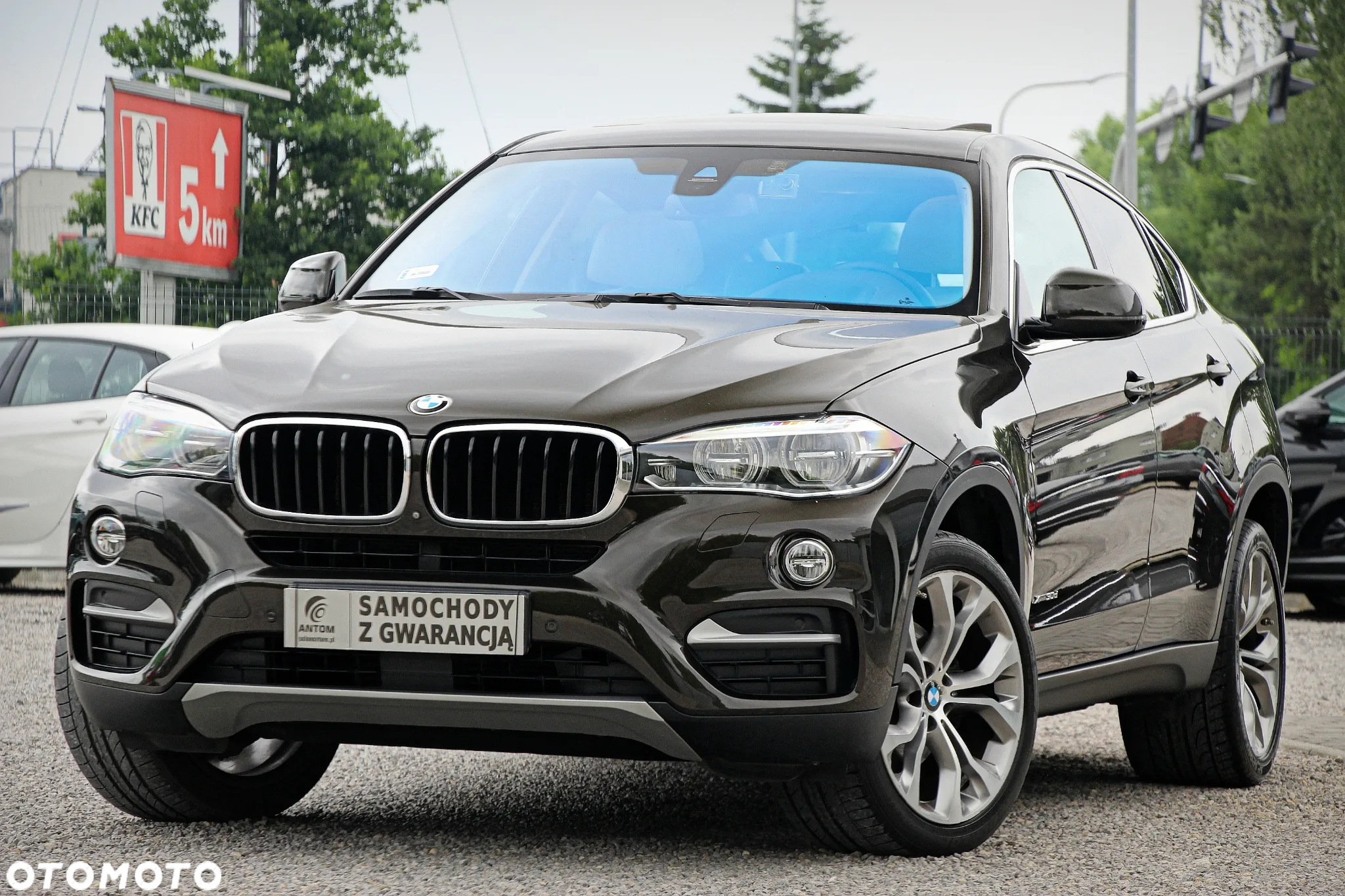 BMW X6 xDrive30d - 4