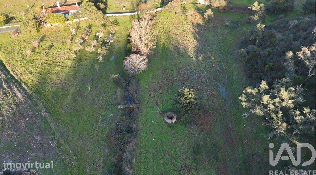 Propriedade em Santa Clara-a-Velha de 100 m2 - Grande imagem: 3/16
