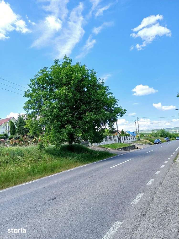 Teren DE VANZARE , In Tarnaveni! - Imagine principală: 2/8