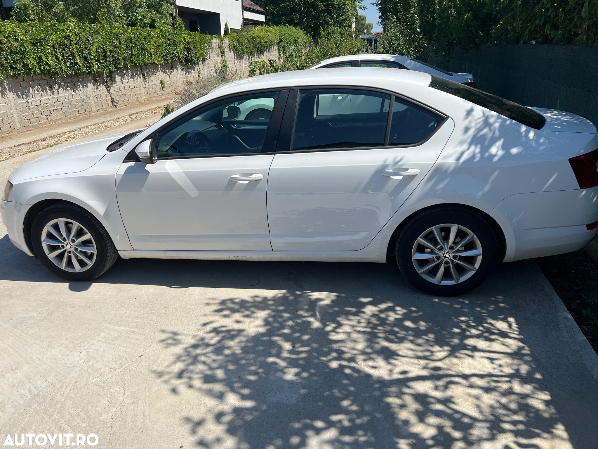 Skoda Octavia 1.4 TSI AMBITION DSG - 7
