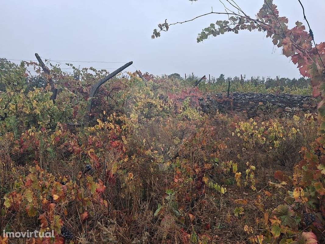 Terreno  para venda - Grande imagem: 4/5