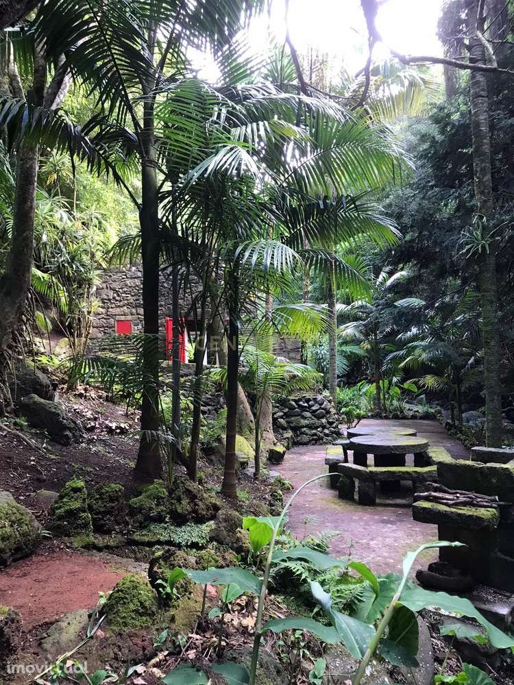 Moinho de água da Achadinha - Grande imagem: 2/33