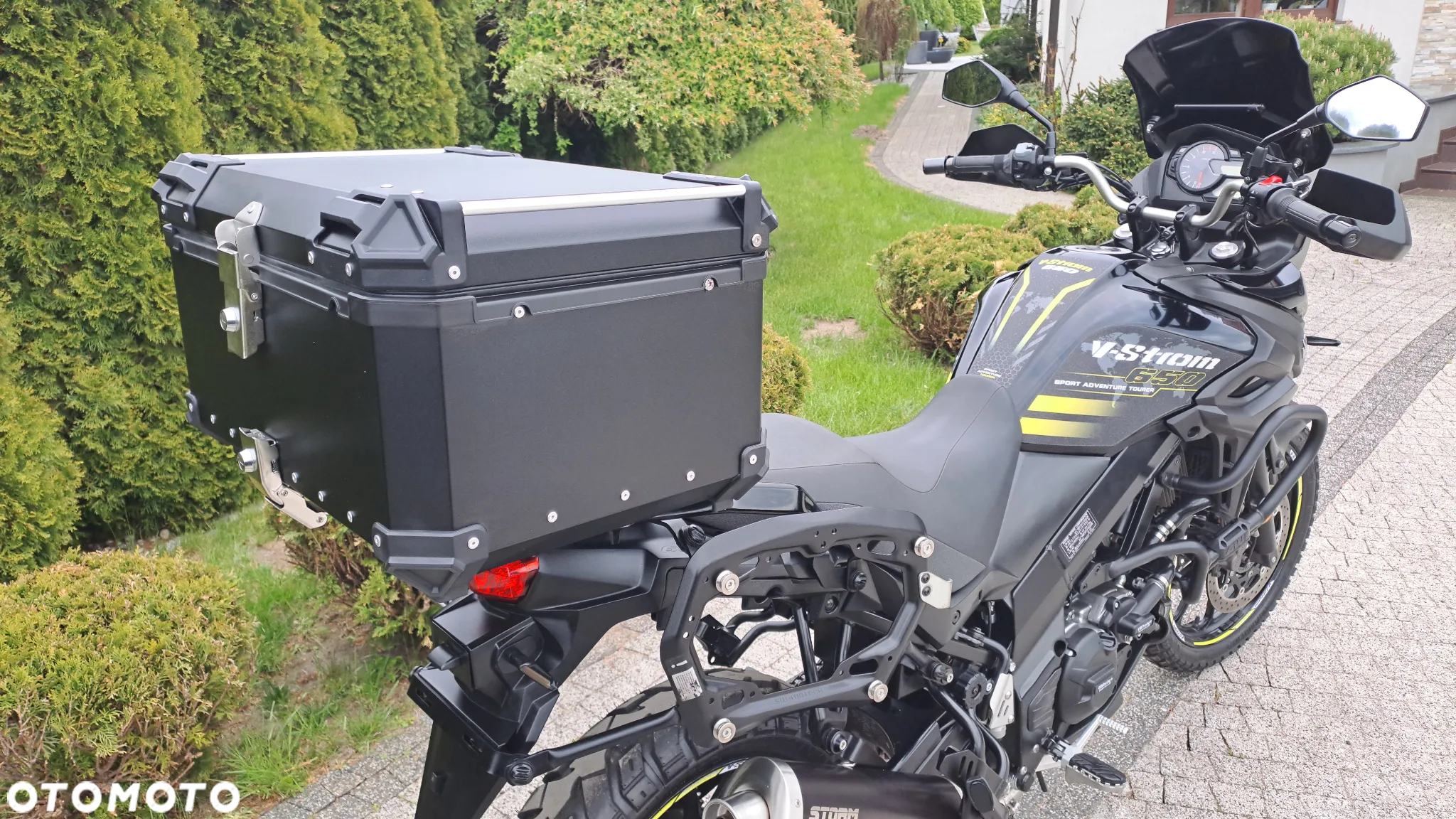 Suzuki DL - 10