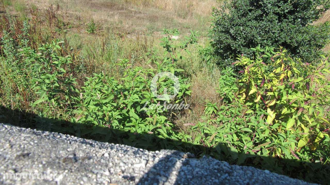 Terreno c/ 13.812,95m2 na Junqueira, Vila do conde - Grande imagem: 2/6