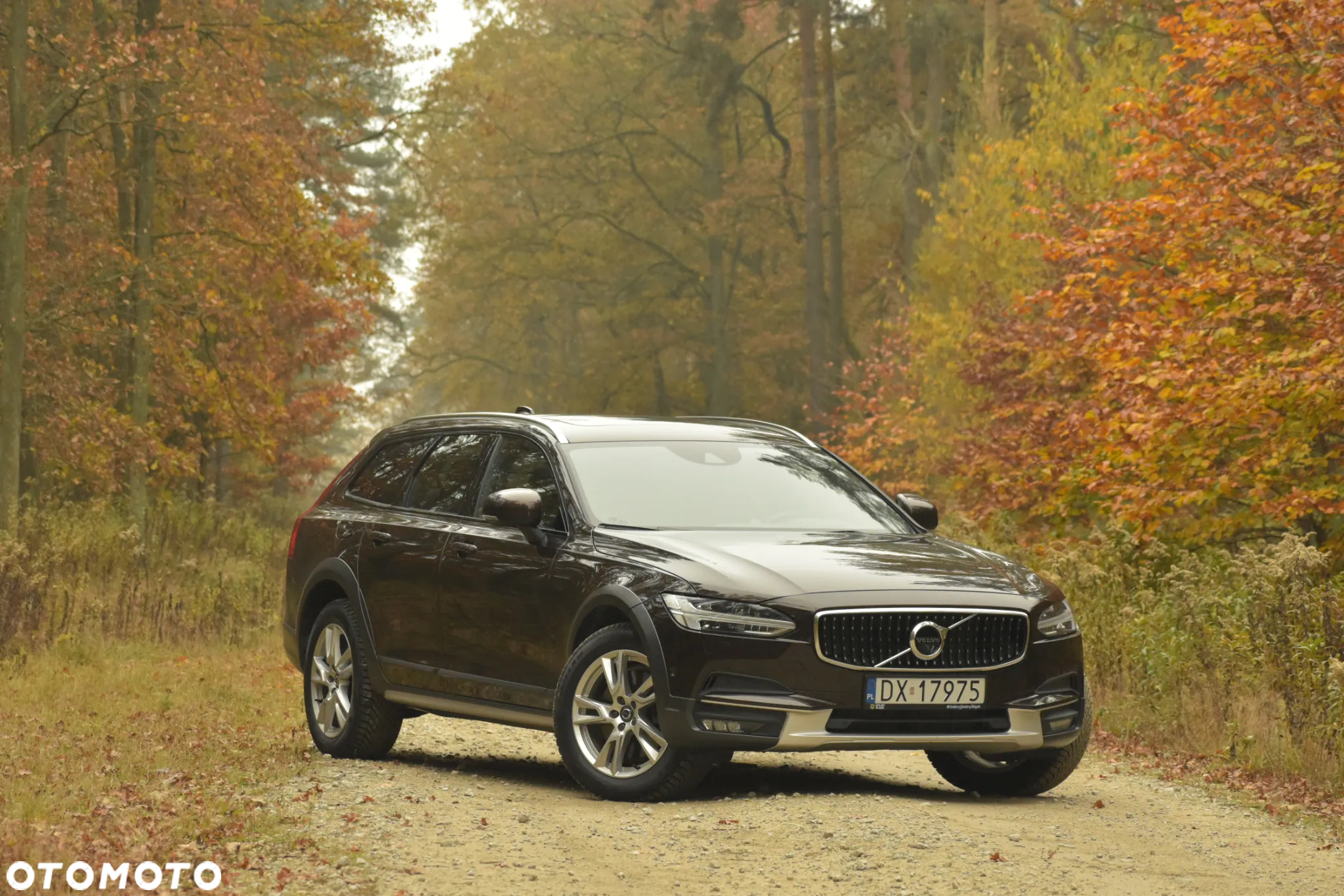 Volvo V90 T6 AWD Geartronic Inscription - 2