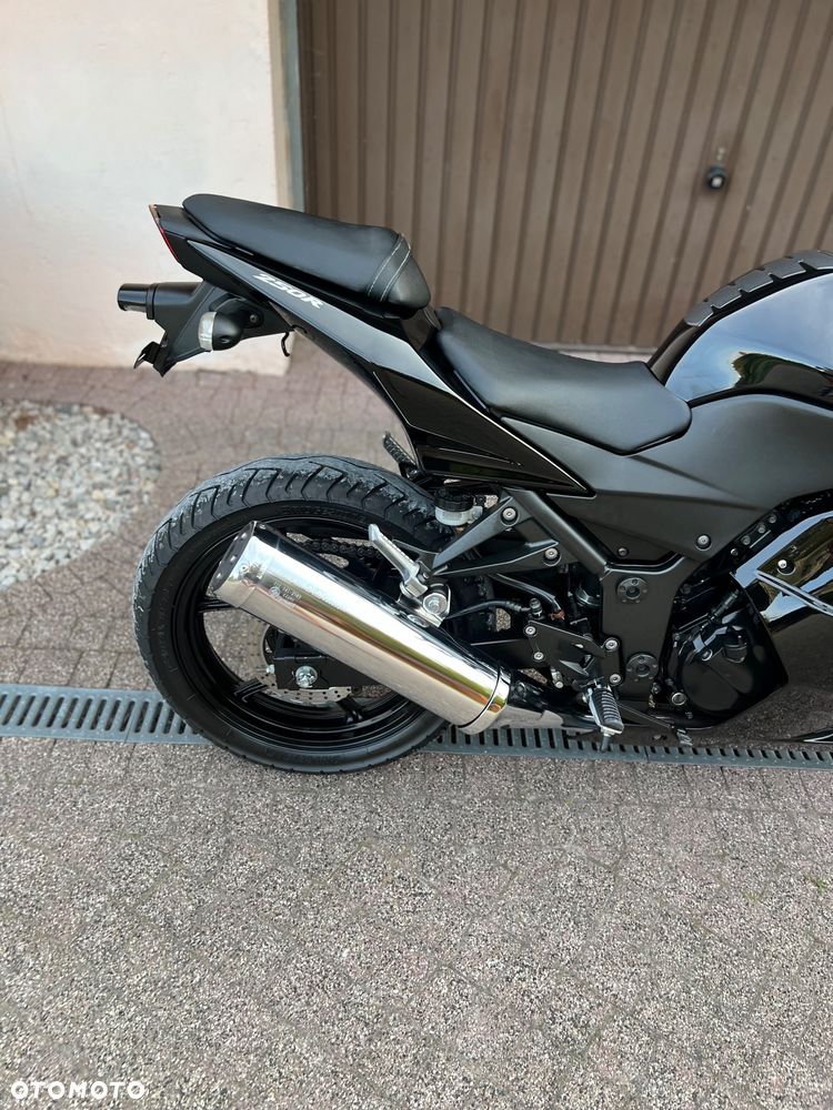 Kawasaki Ninja 250R - 10