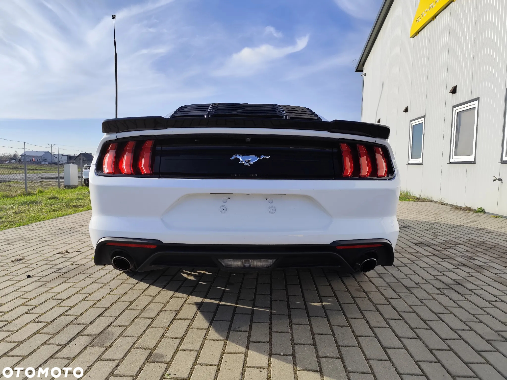 Ford Mustang - 6