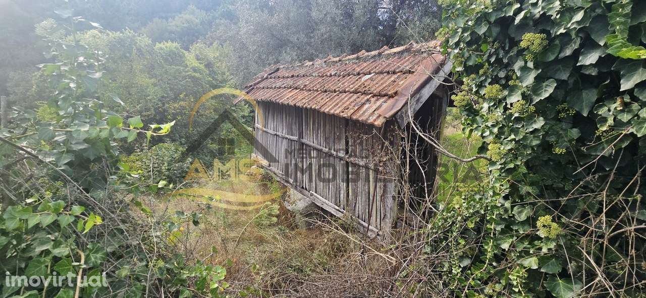 QUINTINHA PARA VENDA - Grande imagem: 4/21
