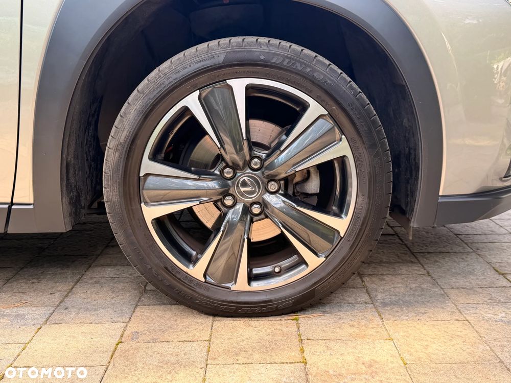 Lexus UX 250h GPF Business 2WD - 19